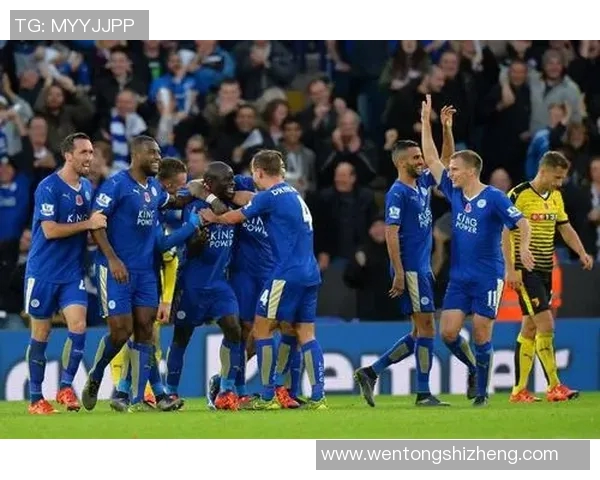 2013年莱切斯特城对决精彩回顾与赛季表现分析