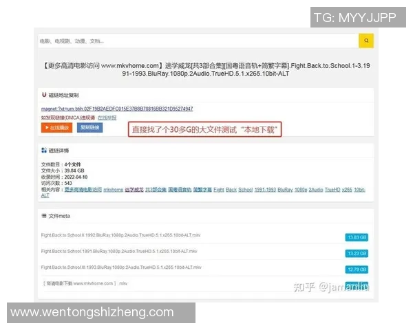 55vs迅雷下载对比分析选择最适合你的下载工具提升效率