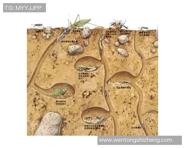 布莱克尼的神秘探险之旅揭示了未知世界的奇妙与惊喜