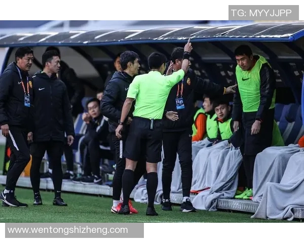 武汉卓尔迎战辽宁队全力争胜展现球队实力与斗志