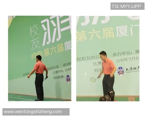 成都羽毛球队转换体系解析与战术应用探讨MBA