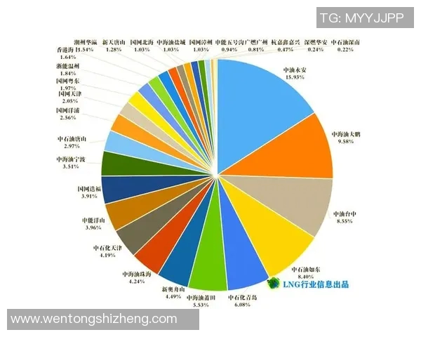 数据分析透视LNG市场节奏变化与未来趋势探讨 数据分析透视LNG市场节奏变化与未来趋势探讨