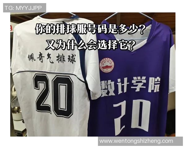 排球装备选购指南:如何选择适合你的球衣款式与品牌推荐 排球装备选购指南:如何选择适合你的球衣款式与品牌推荐