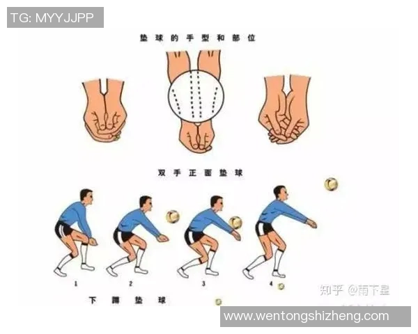 从零基础到高手：全面掌握排球节奏与技巧的实用指南